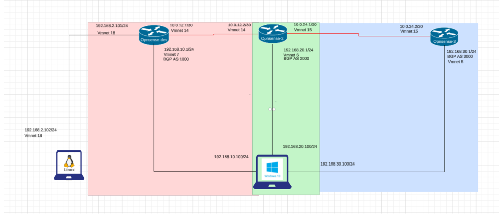 Image of a coral reef