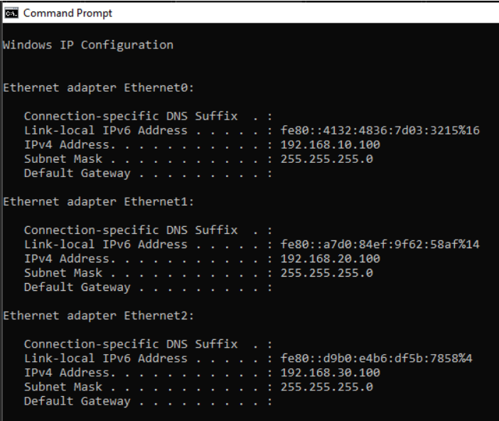 Image of marine life