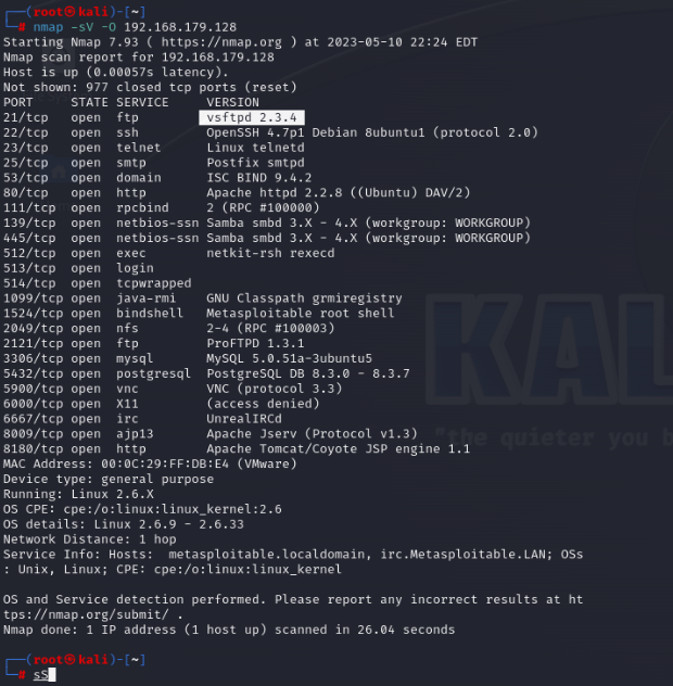 Image of marine life